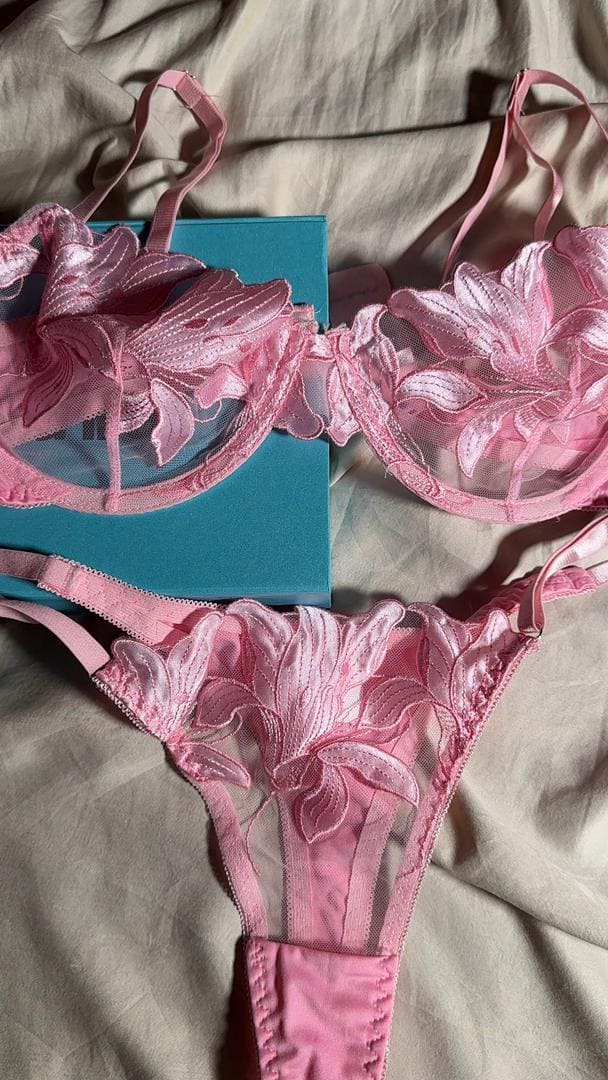 WhatsApp Image 2025-11-08 at 14.53.57 (2) (1)